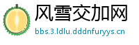 风雪交加网